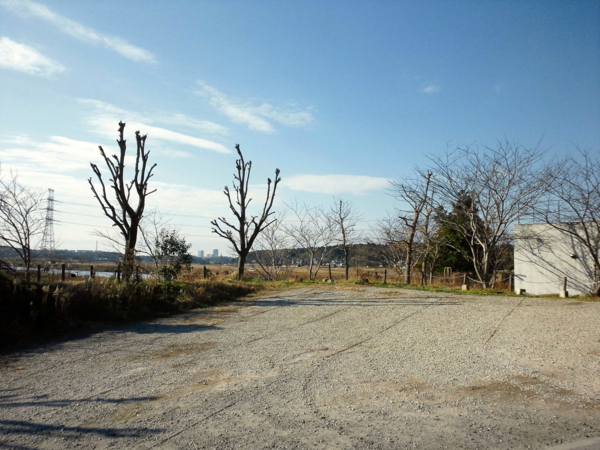 f:id:cippillo:20120106145004j:image