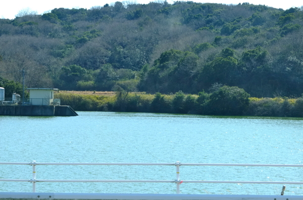 f:id:cippillo:20120321132526j:image