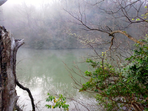 f:id:cippillo:20120423112352j:image