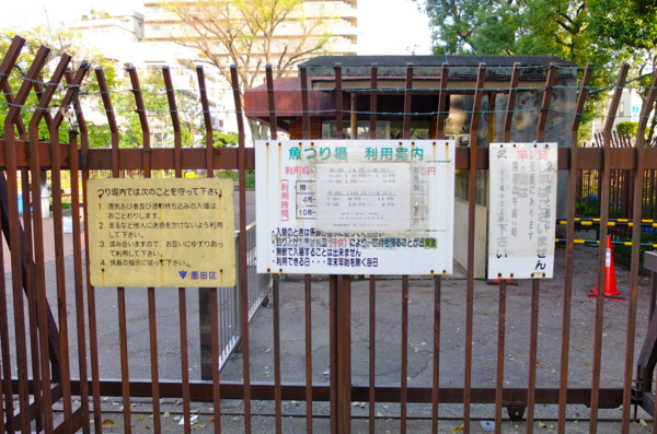 f:id:cippillo:20120424130626j:plain