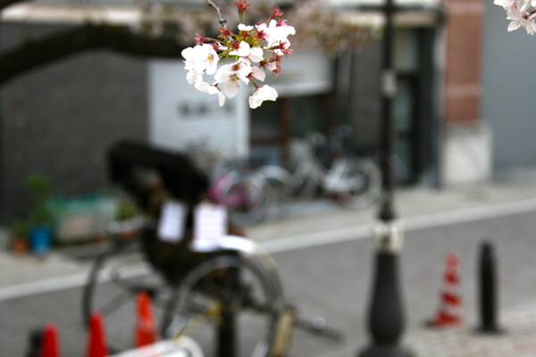 f:id:cippillo:20120424130627j:plain