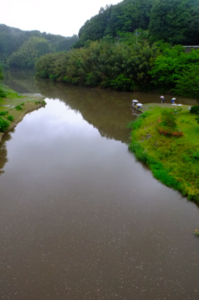 f:id:cippillo:20120626133742j:plain