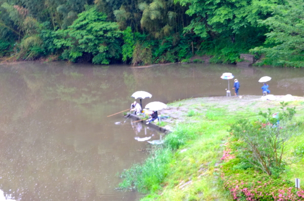 f:id:cippillo:20120626133743j:plain