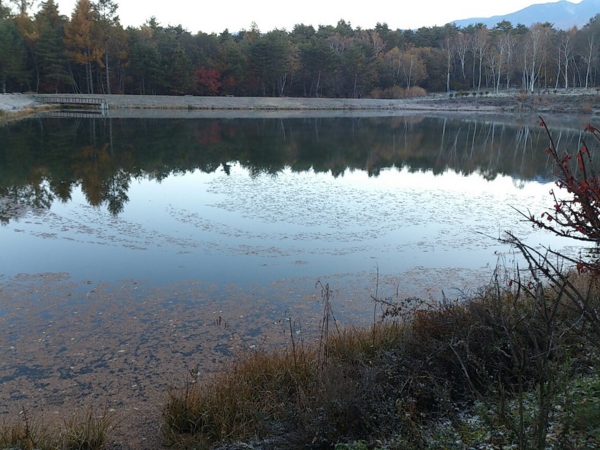 f:id:cippillo:20121111133541j:image