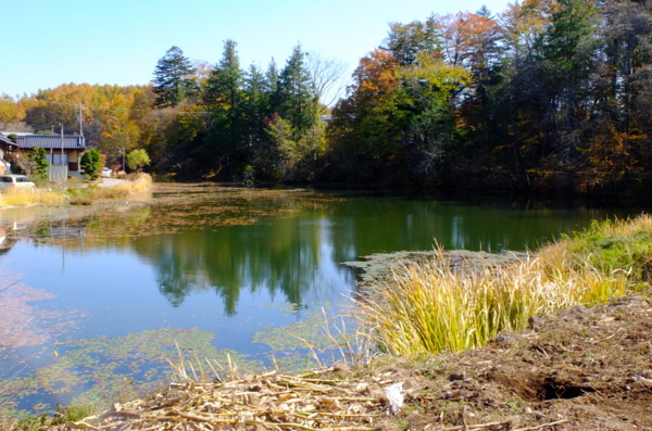 静かな湖 CB1300] On the way to Lake Kawaguchi, I ended up in a dangerous