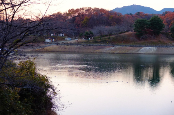 f:id:cippillo:20121223130301j:image