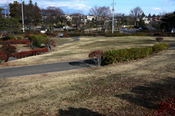 f:id:cippillo:20130126175350j:plain
