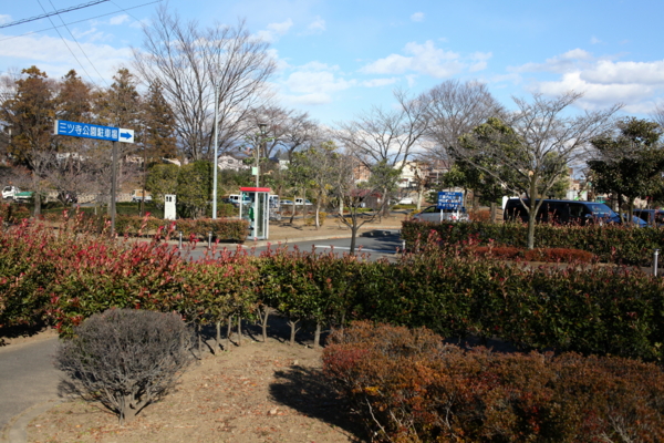 f:id:cippillo:20130126175351j:plain