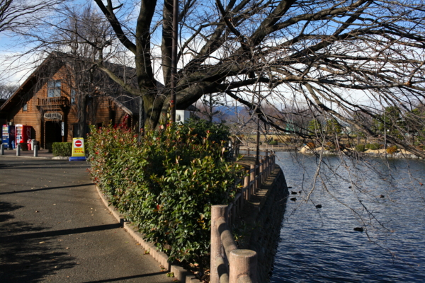 f:id:cippillo:20130126175355j:plain