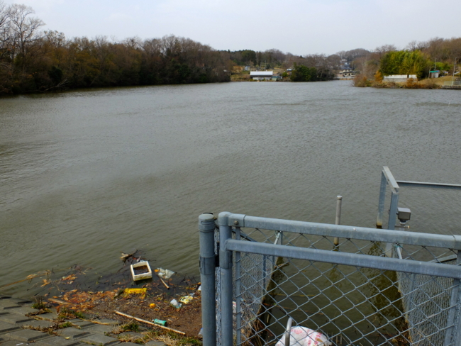 天神沼（埼玉県吉見） - 水辺遍路