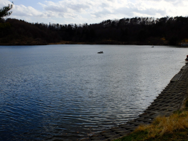f:id:cippillo:20130412131707j:plain