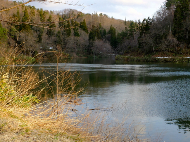 f:id:cippillo:20130417111805j:plain