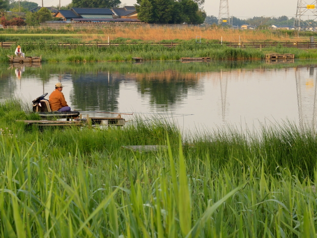 中野沼（群馬県邑楽） 水辺遍路