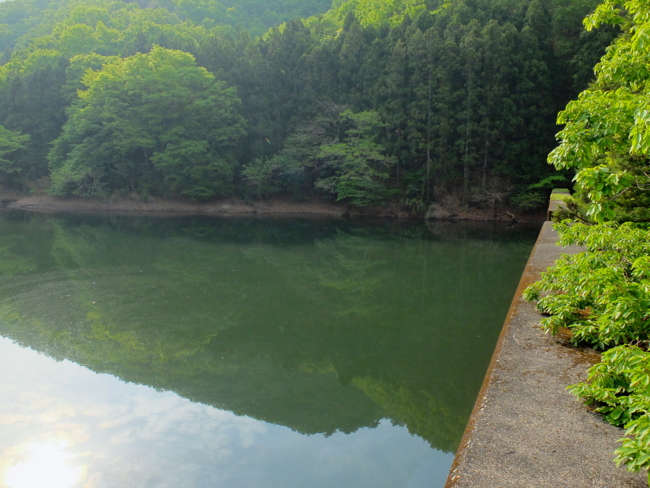 f:id:cippillo:20130514095806j:plain