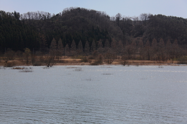 f:id:cippillo:20130514123532j:plain