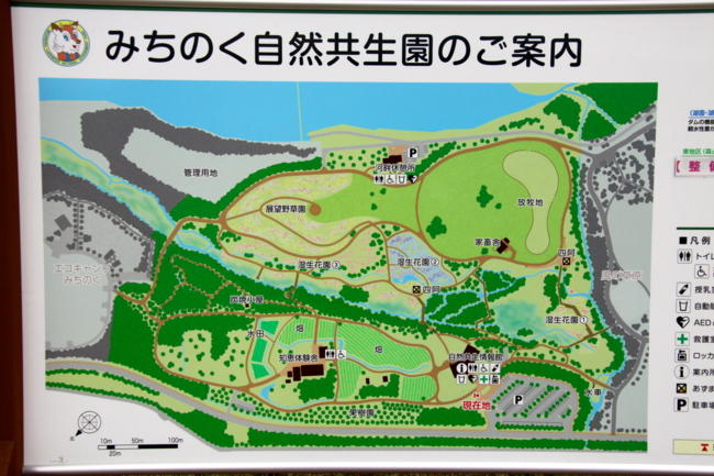 f:id:cippillo:20130514123535j:plain