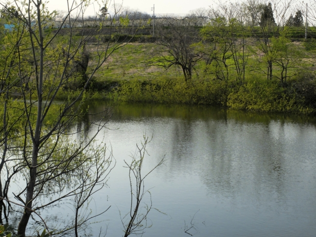 小鳥ヶ池(山形県大江) - 水辺遍路