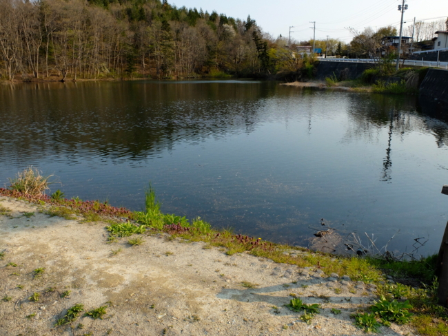 f:id:cippillo:20130517181010j:plain f:id:cippillo:20130517181010j:plain