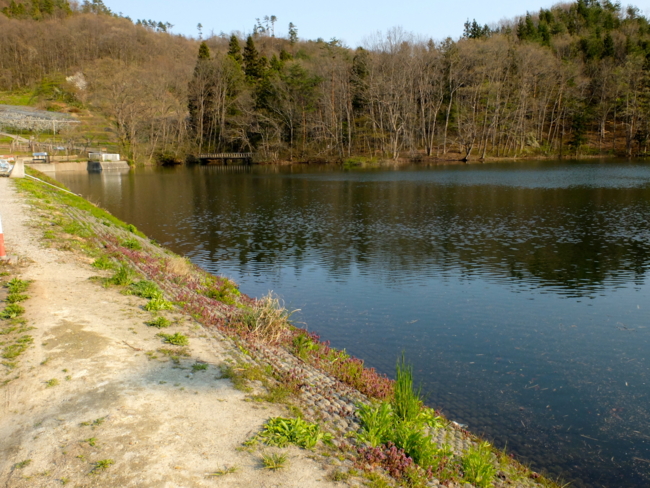 f:id:cippillo:20130517181011j:plain f:id:cippillo:20130517181011j:plain