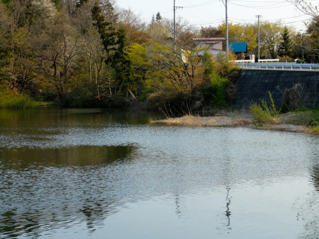 f:id:cippillo:20130517181013j:plain f:id:cippillo:20130517181013j:plain