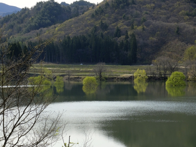 f:id:cippillo:20130517231425j:plain f:id:cippillo:20130517231425j:plain