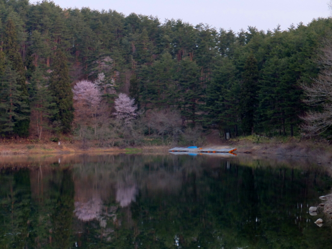 f:id:cippillo:20130518020600j:plain