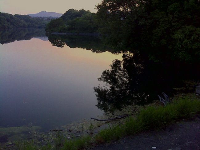 f:id:cippillo:20130604133823j:plain