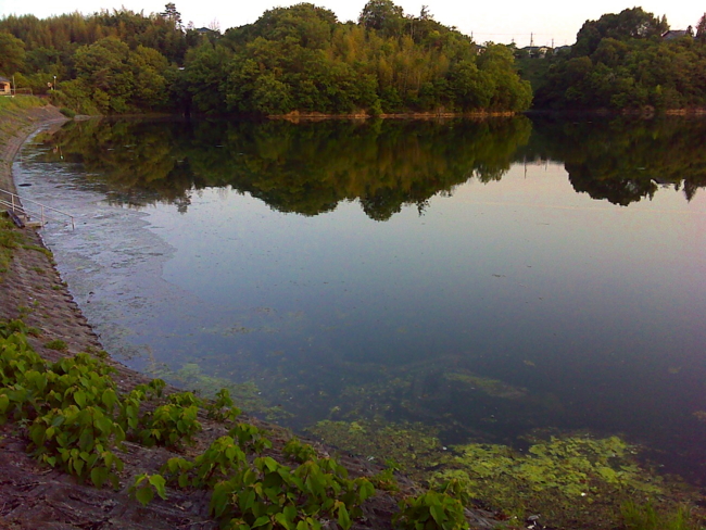 f:id:cippillo:20130604133824j:plain