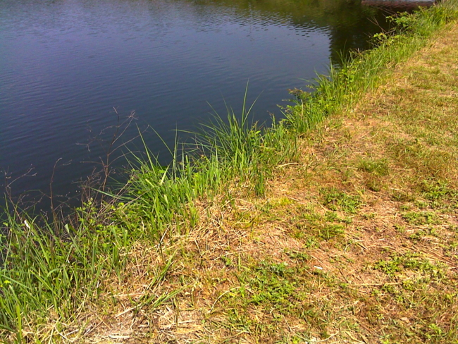 f:id:cippillo:20130607034404j:image