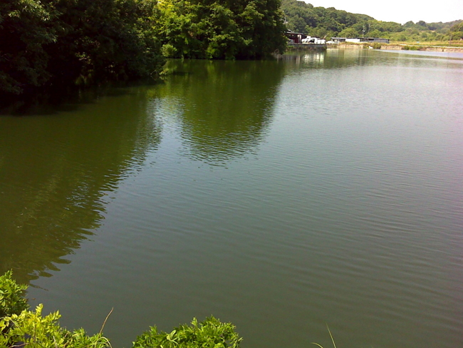 f:id:cippillo:20130607034405j:image