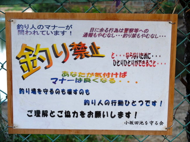 f:id:cippillo:20130610181348j:plain
