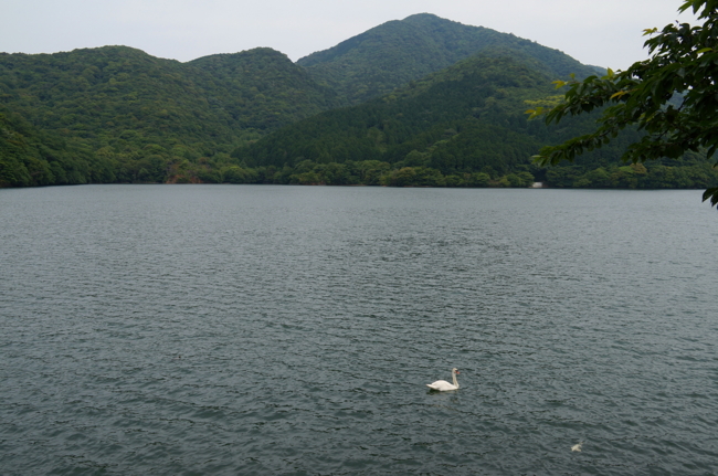 f:id:cippillo:20130611084940j:plain