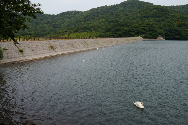 f:id:cippillo:20130611084941j:plain