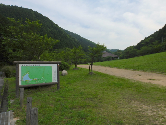 f:id:cippillo:20130611084943j:plain