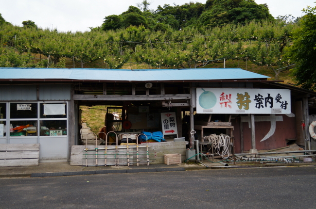 f:id:cippillo:20130621124818j:plain