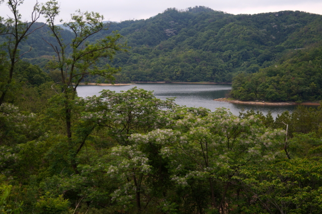 f:id:cippillo:20130621124821j:plain