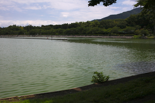 f:id:cippillo:20130629140428j:plain f:id:cippillo:20130629140428j:plain