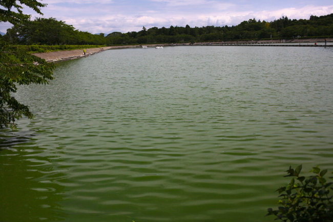 f:id:cippillo:20130629140430j:plain f:id:cippillo:20130629140430j:plain