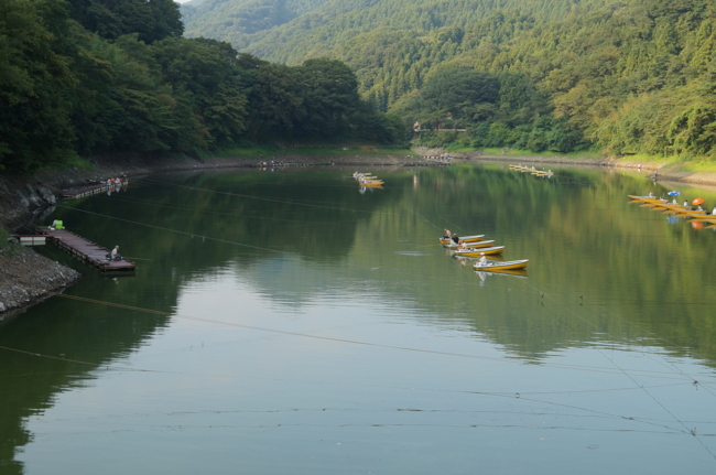 f:id:cippillo:20130818153558j:plain