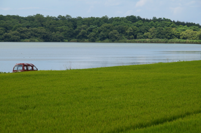 f:id:cippillo:20130818164418j:image