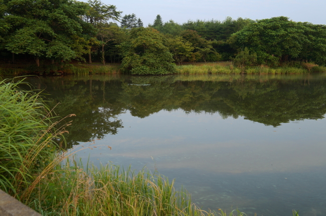 f:id:cippillo:20130820091524j:plain f:id:cippillo:20130820091524j:plain