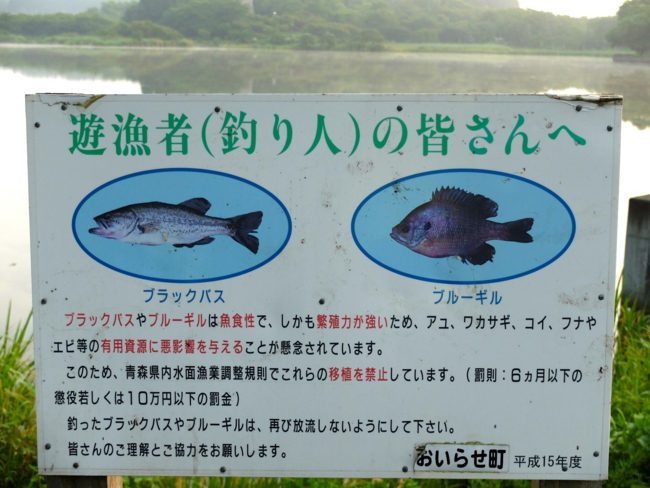 f:id:cippillo:20130820091528j:plain f:id:cippillo:20130820091528j:plain