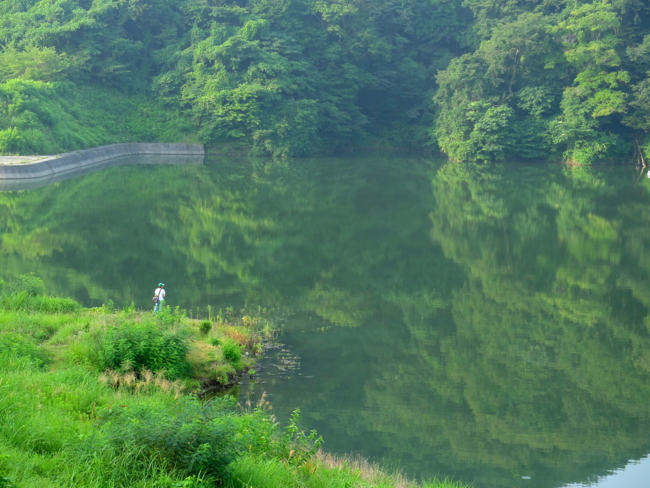 f:id:cippillo:20130821124614j:plain