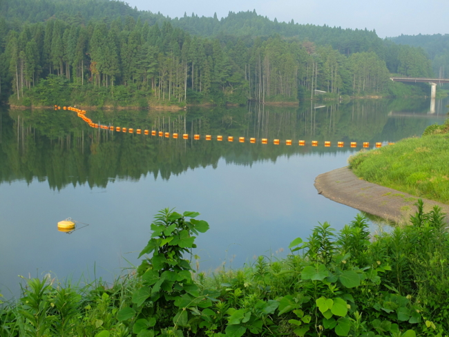 f:id:cippillo:20130821124616j:plain