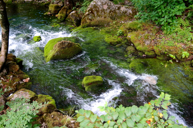 f:id:cippillo:20130822095203j:plain f:id:cippillo:20130822095203j:plain