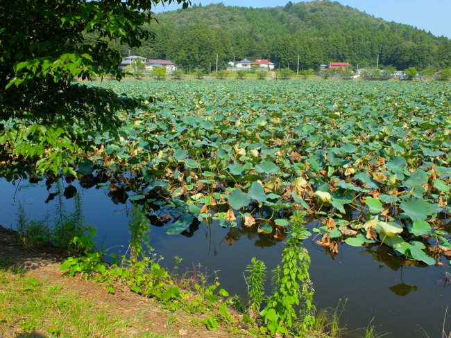 20130825152923