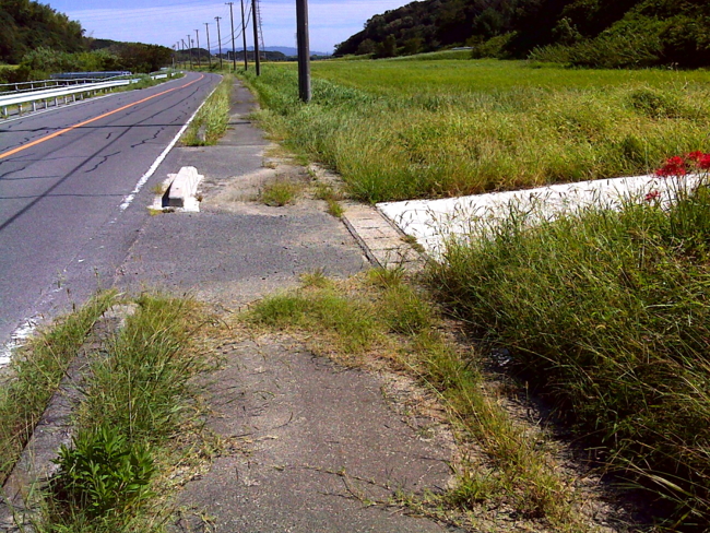 f:id:cippillo:20130929095254j:plain
