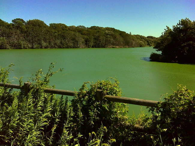 f:id:cippillo:20130929095301j:plain