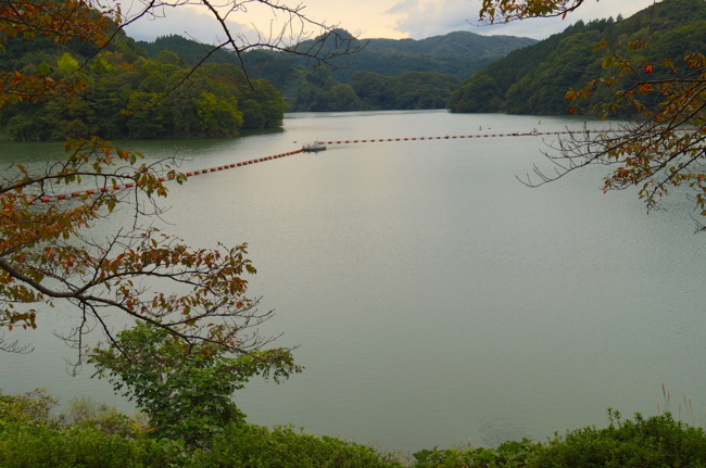 f:id:cippillo:20131020081927j:plain