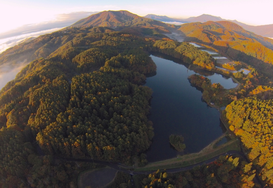 f:id:cippillo:20131103063914j:plain